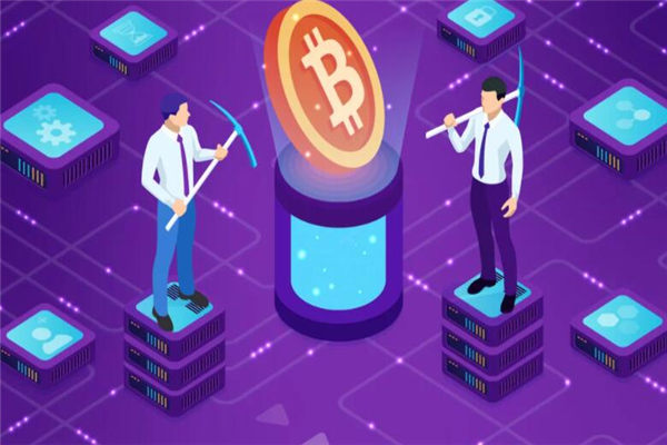 比特币钱包是哪个14