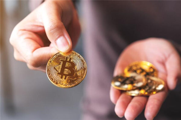 比特币钱包是哪个100