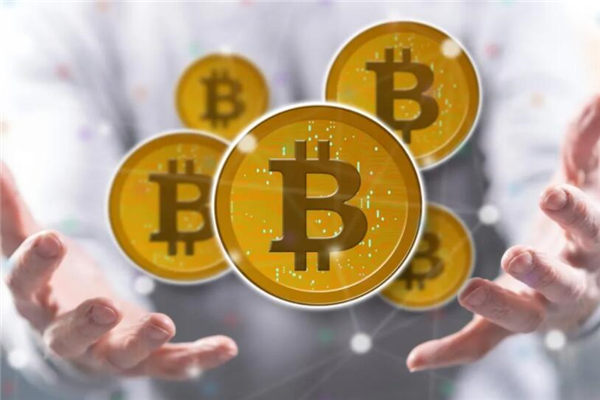 比特币钱包是哪个16