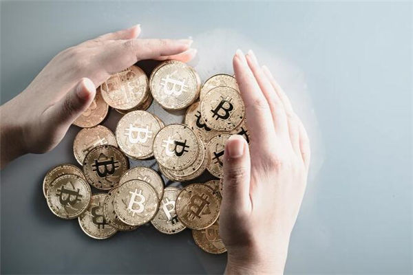 比特币钱包是哪个13