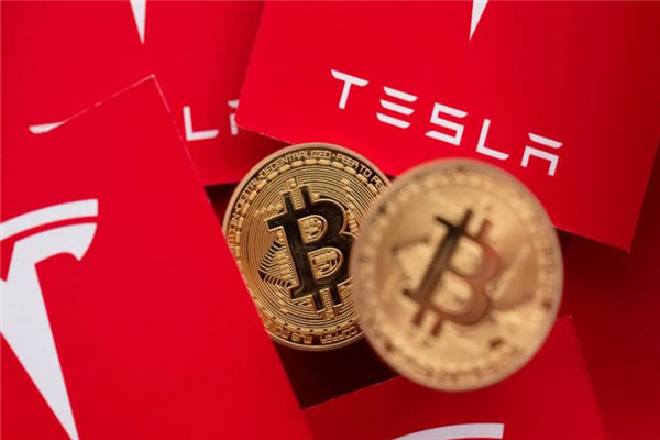 世界环保币创业基金官网(世界环保基金官网)