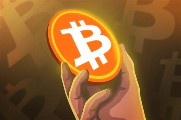 比特币钱包是哪个19