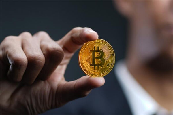 比特币钱包是哪个13